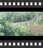 ../pictures/Scenic Overlook in Allamuchy NJ/DSCF2204_1_small_icon.jpg